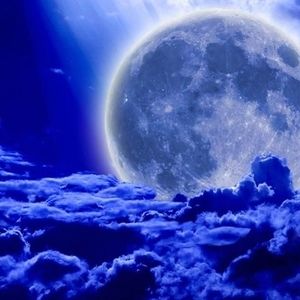 Meet your Posher, Constance